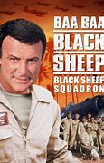 Image result for Black Sheep Squadron TV