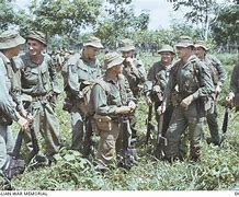 Image result for Australian Vietnam War