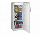 Image result for Different Types of Freezers