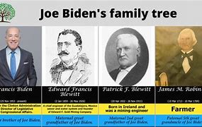 Image result for Joe Biden's Family Tree