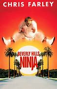 Image result for Beverly Hills Ninja Cartoon