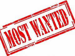 Image result for Most Wanted PNG