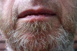 Image result for Chris Pratt Beard