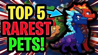 Image result for The Most Raraest Prodigy Pet