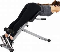 Image result for Back Machine Exercise Equipment
