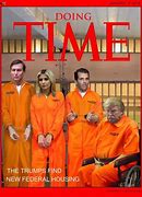 Image result for Organized Crime Family Charts