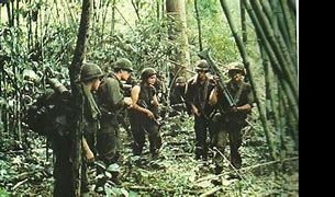 Image result for Vietnam War Jungle Warfare