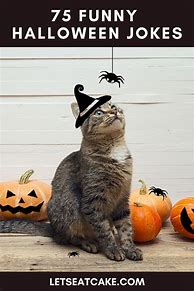 Image result for Spooky Halloween Jokes