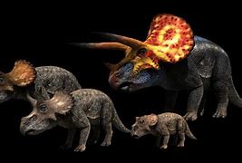 Image result for Dinosaurs Decoded