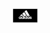 Image result for Adidas Essentials Logo Hoodie
