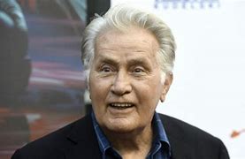 Image result for Martin Sheen West Wing