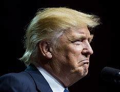 Image result for Donald Trump Photos Free
