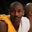 Image result for Ron Artest Champions