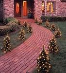 Image result for Lowe's Live Christmas Trees