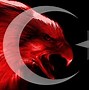 Image result for Siyah Beyaz Turk Bayragi