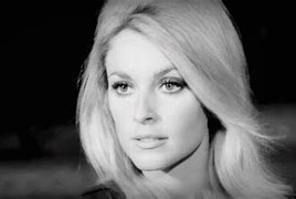 Image result for Sharon Tate Poster