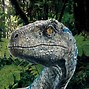 Image result for Jurassic World 1 Raptor Blue