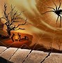 Image result for Cool Spiders