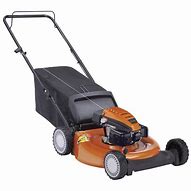 Image result for Home Depot Gas Push Lawn Mowers