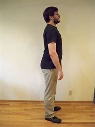 Image result for Human Standing Upright