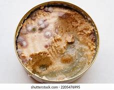 Image result for Spoiled Canned-Food