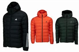 Image result for Adidas Puffer