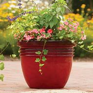 Image result for Red Planters