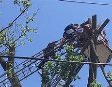 Image result for Black Man Hanging From Tree