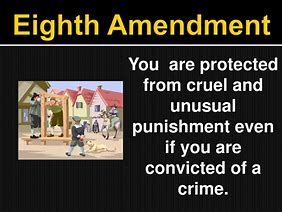 Image result for 8th Amendment