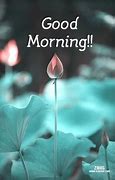 Image result for Good Morning Text Quotes