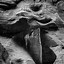 Image result for Zion National Park Narrows Water Flow
