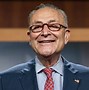 Image result for Schumer Party