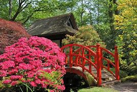 Image result for Japanese Garden Paintings