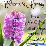 Image result for Wonderful Monday Quotes