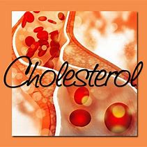 Image result for Cholesterol Wellness 60 Vcaps