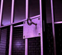 Image result for Luxurious Prison Cell