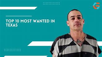 Image result for Most Wanted Criminals