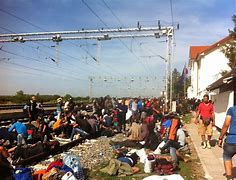 Image result for Croatia Serbia Border