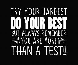 Image result for Try Your Hardest Quotes