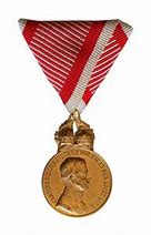 Image result for Hungarian War Medals