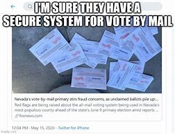 Image result for Mail in Voting Meme
