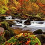Image result for Colorful Fall Wallpaper Autumn