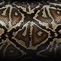 Image result for Snakeskin Wallpaper