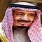 Image result for Saudi Arabia Country