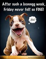Image result for Friday Messages Funny