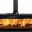 Image result for Freestanding Wood Stove Fireplace