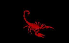 Image result for Scorpion Emblem Wallpaper HD