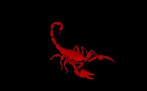Image result for Scorpion Art Wallpapers