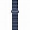 Image result for Apple Watch Blue Band