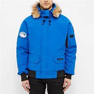 Image result for Canada Goose Dog Coats
